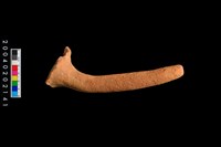 藏品(勺把)的圖片