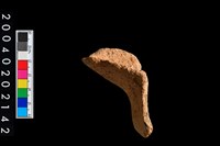 藏品(壺嘴殘件)的圖片