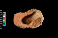 藏品(盆形蓋殘件)的圖片