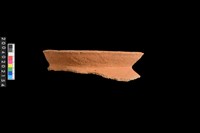 藏品(罐口緣殘件)的圖片