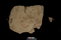 藏品(砥石)的圖片