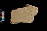 藏品(砥石)的圖片