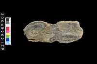 藏品(石網墜)的圖片