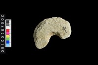 藏品(小石輪殘件)的圖片