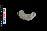 藏品(石環殘件)的圖片