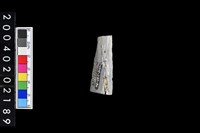 藏品(石鏃)的圖片