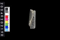 藏品(石鏃)的圖片