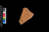 藏品(口緣殘件)的圖片