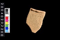 藏品(腹片)的圖片