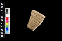 藏品(口緣殘件)的圖片