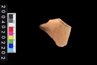 藏品(帶流口緣殘件)的圖片