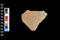 藏品(腹片)的圖片