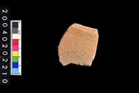 藏品(腹片)的圖片