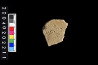 藏品(腹片)的圖片