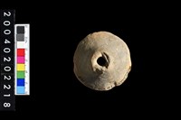 藏品(陶紡輪)的圖片