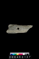 藏品(石刀)的圖片