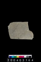 藏品(石鐮)的圖片