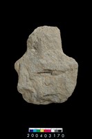 藏品(石斧)的圖片