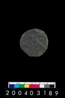 藏品(板岩片)的圖片