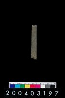 藏品(石針)的圖片