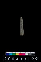 藏品(石針)的圖片