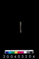 藏品(石針)的圖片