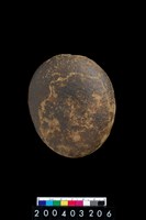 藏品(石錘)的圖片