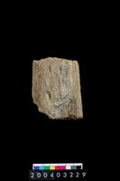 藏品(石杵)的圖片