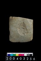 藏品(石錛)的圖片