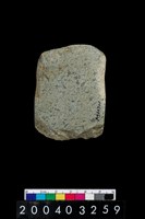 藏品(石錛)的圖片