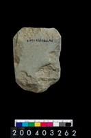 藏品(石錛)的圖片