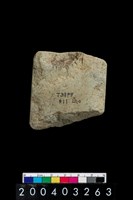 藏品(石錛)的圖片