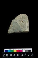 藏品(石錛)的圖片