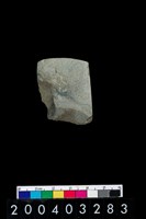 藏品(石錛)的圖片