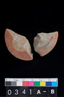 藏品(陶紡輪)的圖片