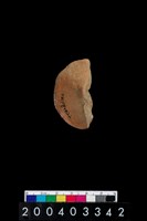 藏品(陶紡輪)的圖片