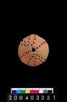 藏品(陶紡輪)的圖片