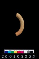 藏品(陶環)的圖片