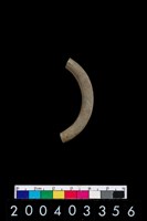 藏品(陶環)的圖片