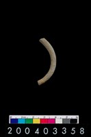 藏品(陶環)的圖片