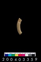 藏品(陶環)的圖片