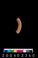 藏品(陶環)的圖片