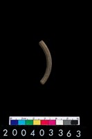 藏品(陶環)的圖片