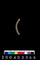 藏品(陶環)的圖片