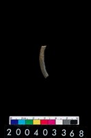 藏品(陶環)的圖片