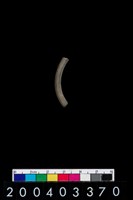 藏品(陶環)的圖片