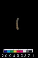 藏品(陶環)的圖片