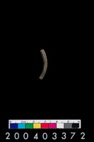 藏品(陶環)的圖片