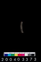 藏品(陶環)的圖片