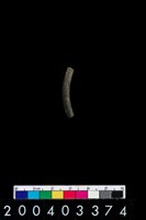 藏品(陶環)的圖片